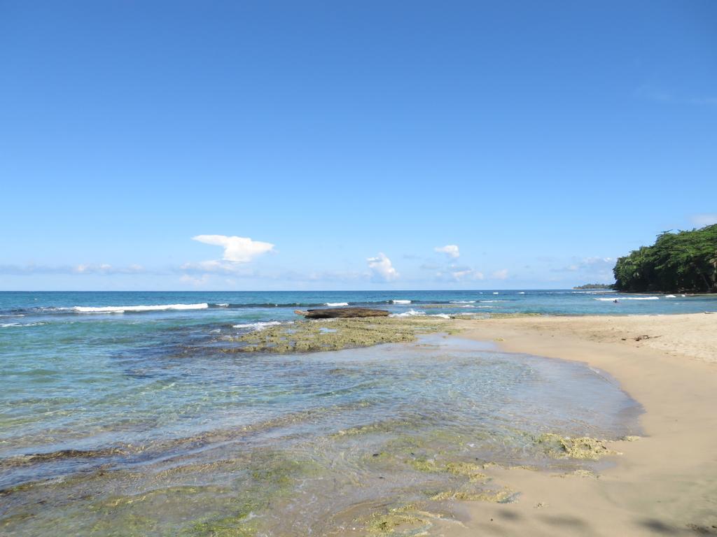 La Kukula Lodge Puerto Viejo de Talamanca Екстериор снимка