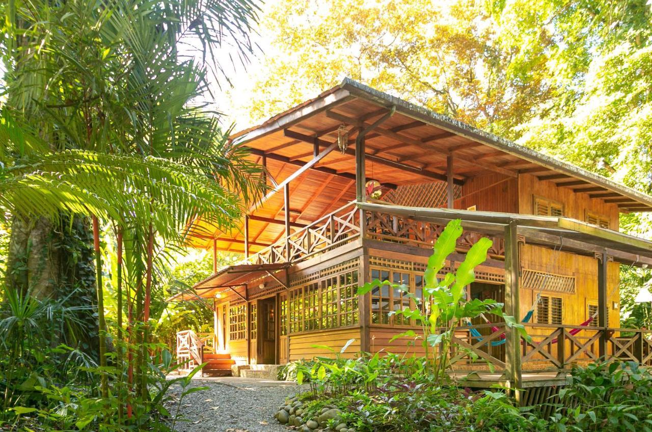 La Kukula Lodge Puerto Viejo de Talamanca Екстериор снимка